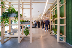 20240718_096_4XX08753