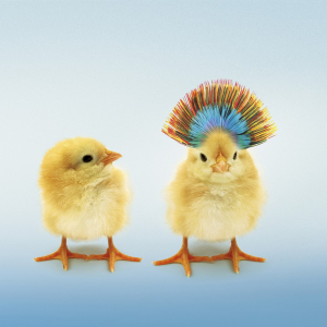 Bildmotiv_Workshop_02_300dpi