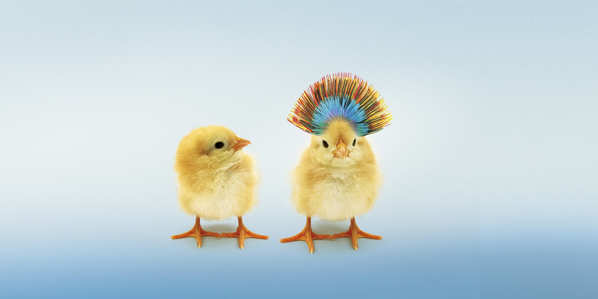 Bildmotiv_Workshop_02_300dpi