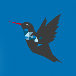 Blauer Hintergrund_800x800_Kolibri schaut nach links