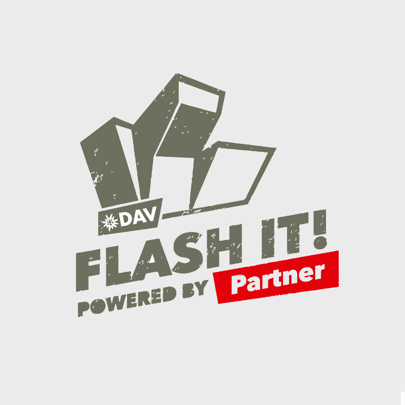 FLASH-IT_Logo_grau_800x800