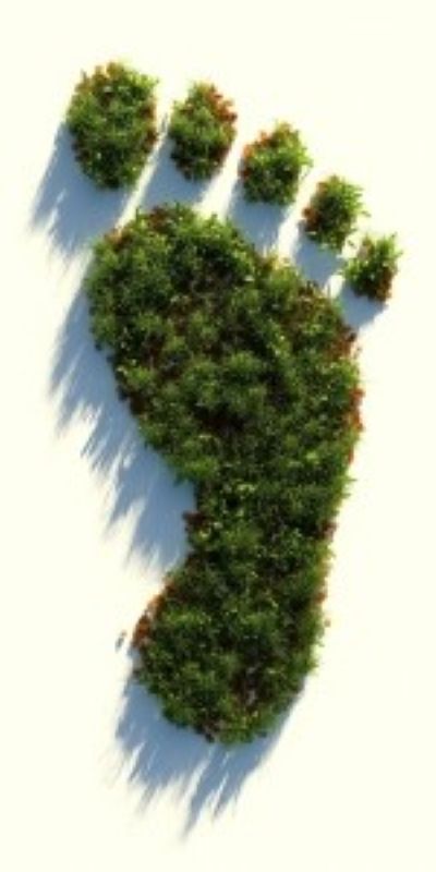 Fußabdruck 800x400 hcoh