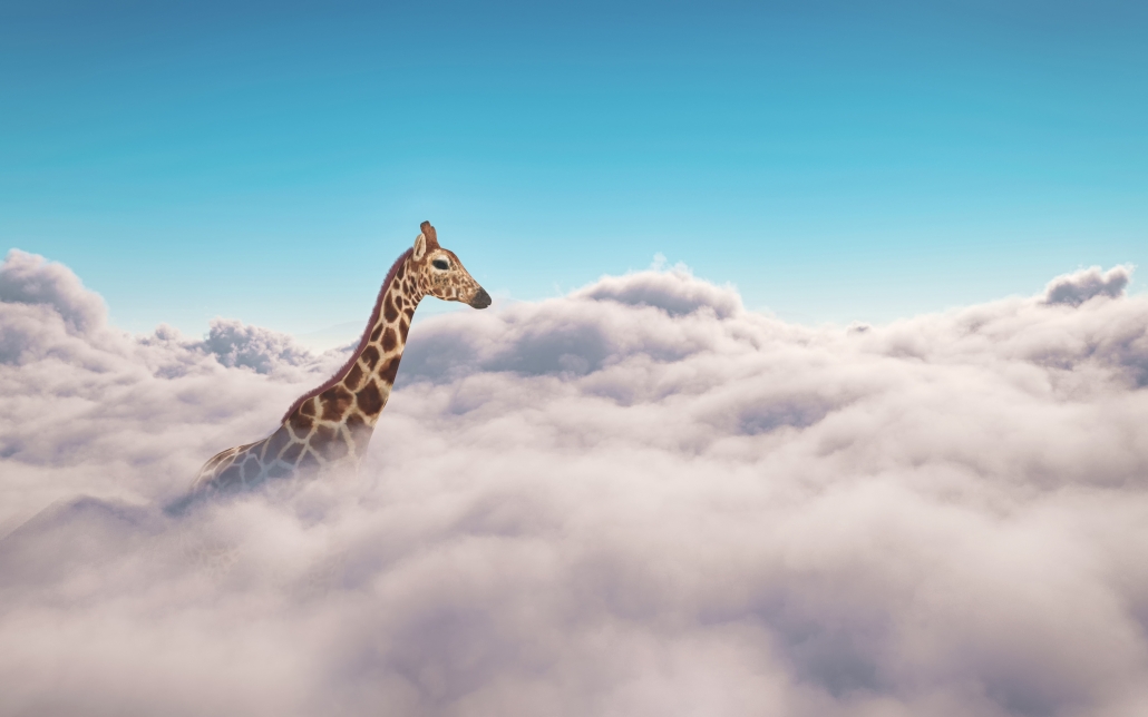 Giraffe,Above,Clouds,.,This,Is,A,3d,Illustration