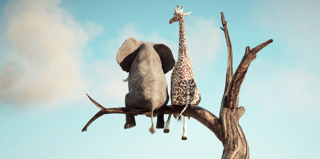 Kachel Elefant und Giraffe auf Baum shutterstock