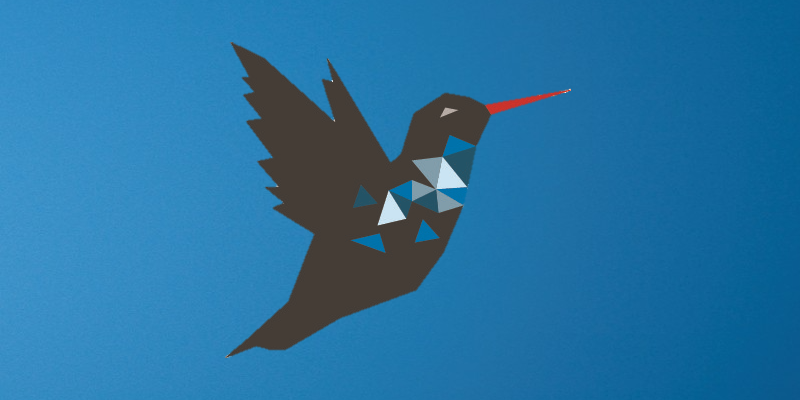 Kolibri_hoch_800x400