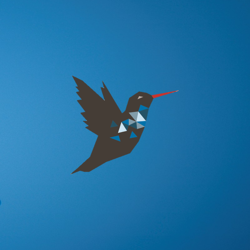 Kolibri_hoch_800x800