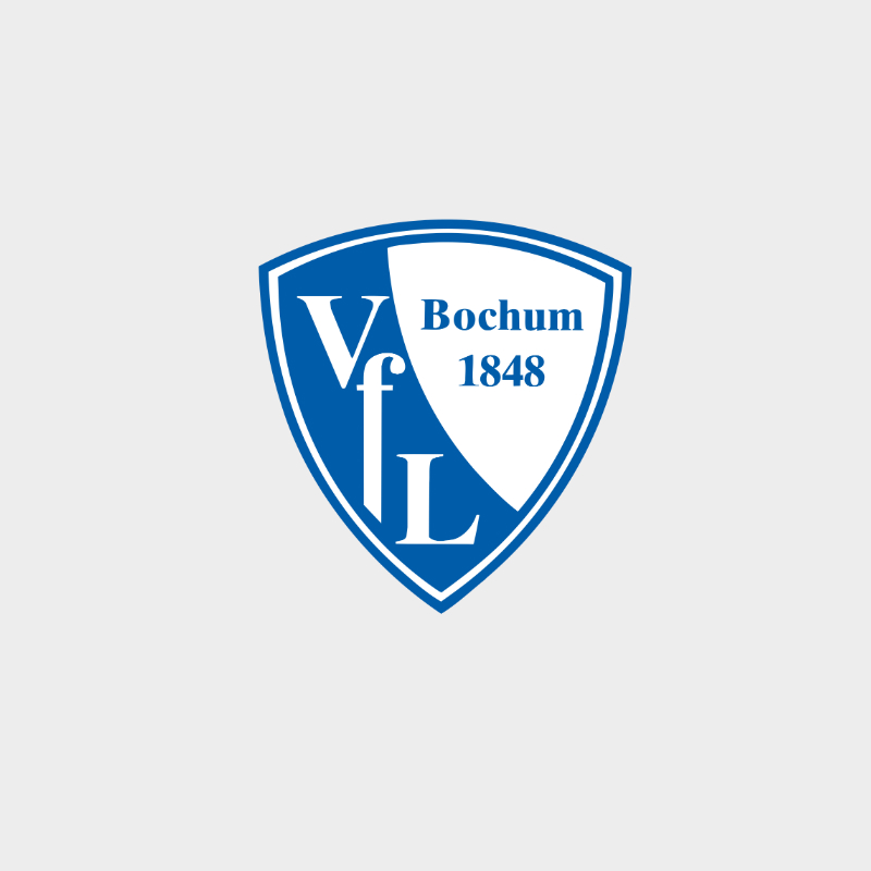 Logo_VfL-Bochum_800x800_grau