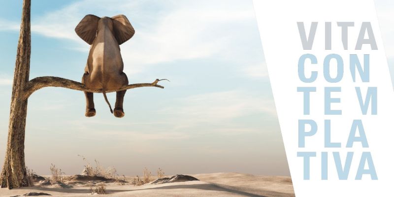 Vita Contemplativa_800x400