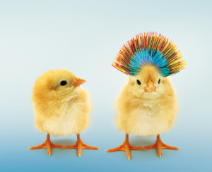 Vita_Haltung 800x650