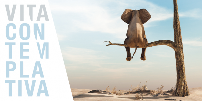 Seminar: Vita Contemplativa