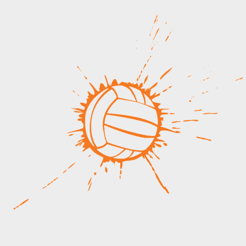 Vorschaubild_Case-Study_BRV_800x800