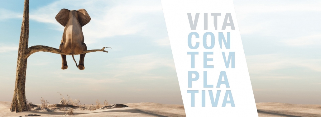 header_2_Elefant_Vita_1920x700