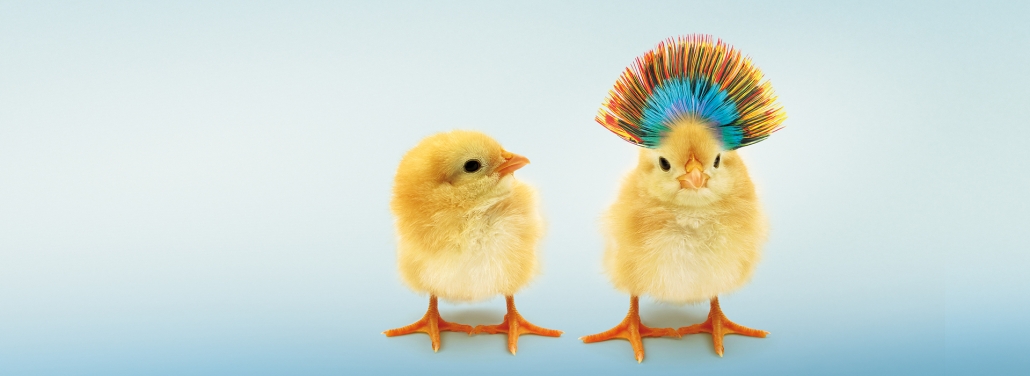 workshop_differenzierung_01_1920x700