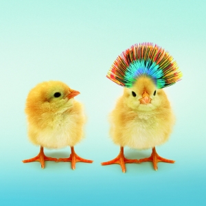 workshop_differenzierung_01_800x800