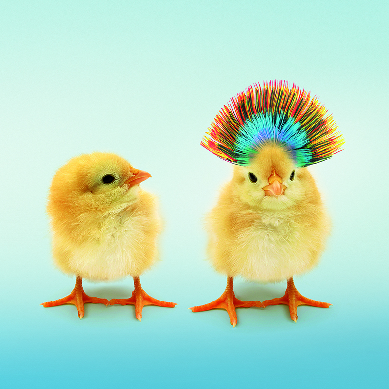 workshop_differenzierung_01_800x800