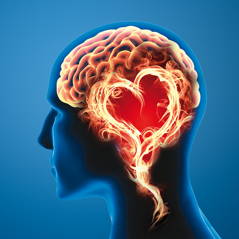 workshop_verhalten_01_800x800